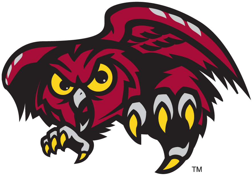 Temple Owls 1996-Pres Alternate Logo v3 iron on transfers for clothing